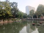 园林景观