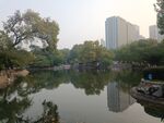 园林景观