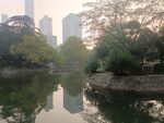 园林景观