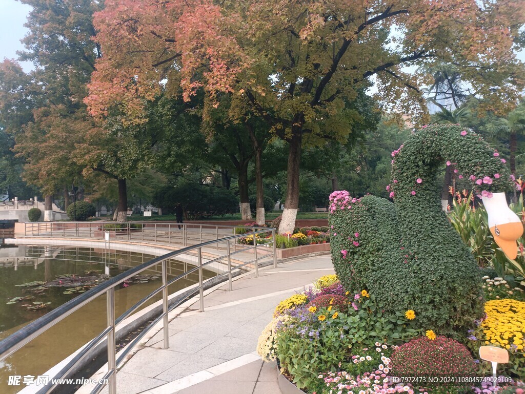 园林景观