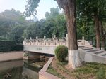 园林景观