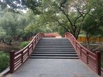 园林景观