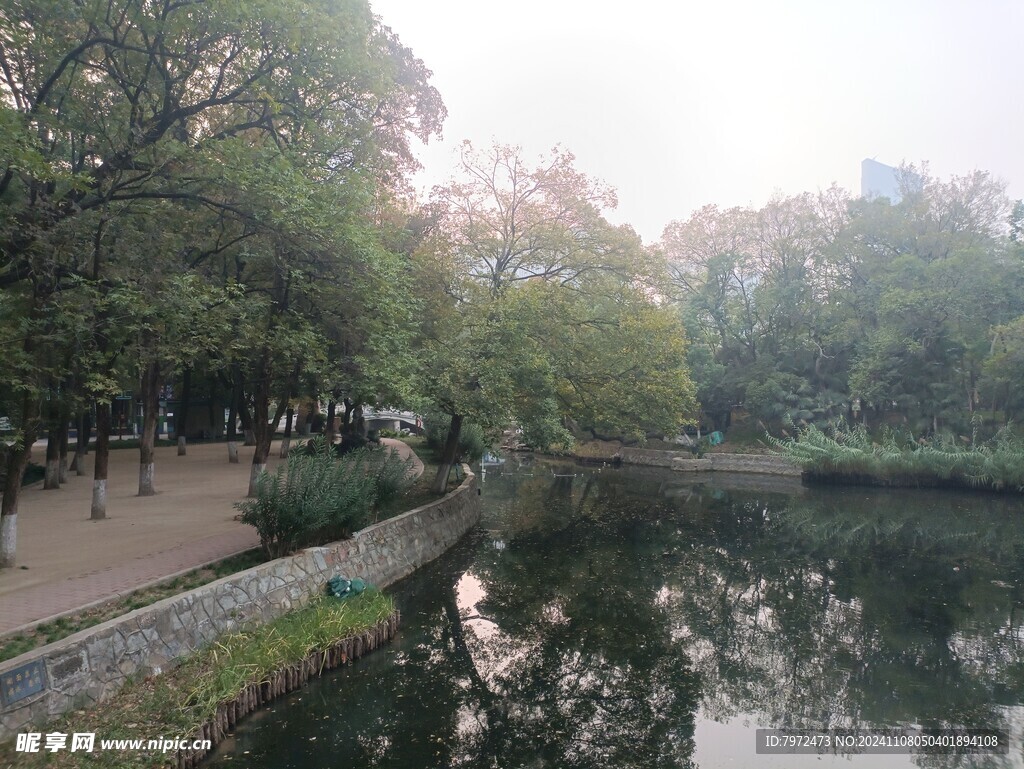 园林景观