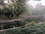 园林景观