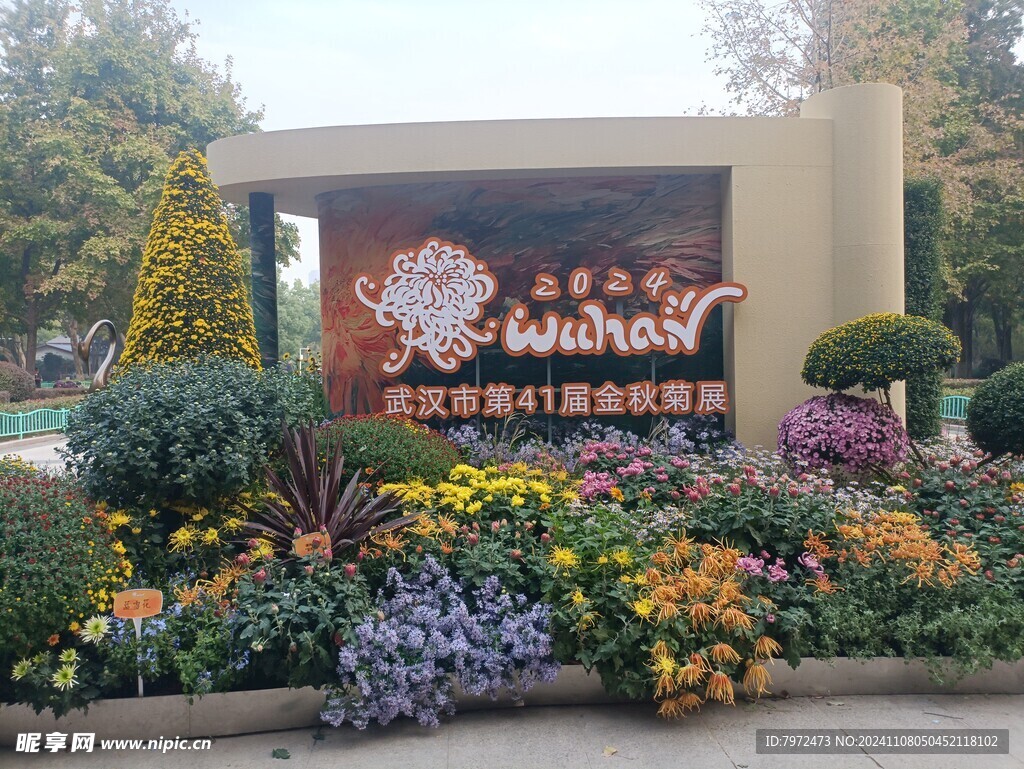 菊花