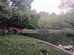 园林景观