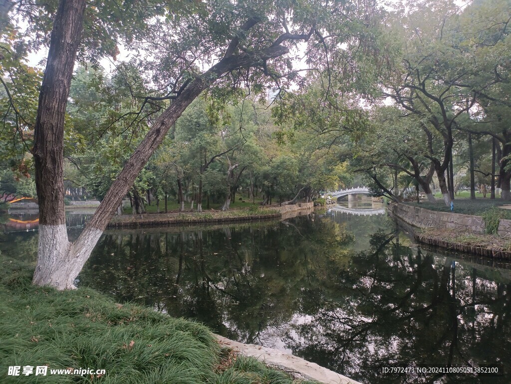 园林景观