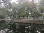 园林景观