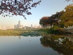 水岸风光