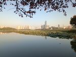 水岸景观