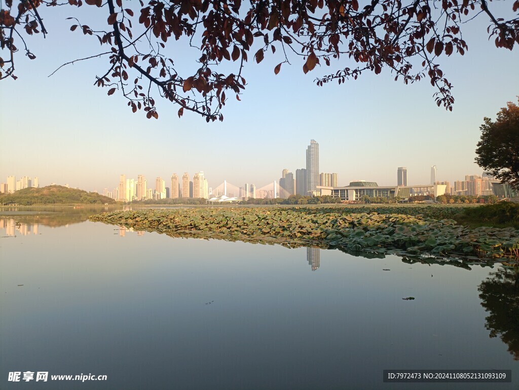 水岸景观