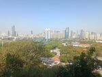 城市丽影