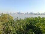 江城