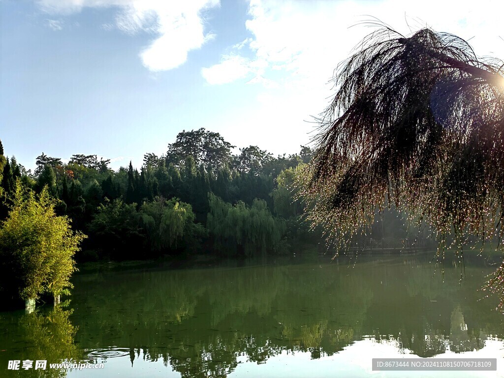 水珠照耀