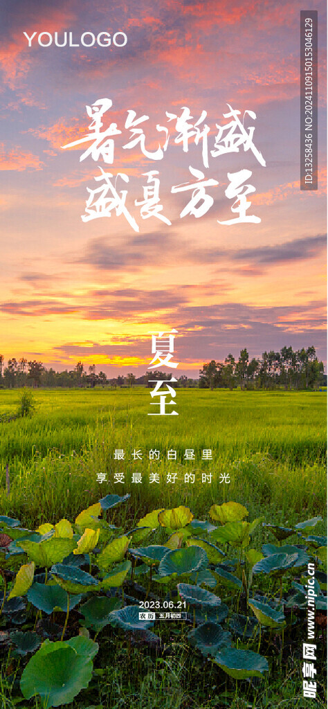 二十四节气夏至海报