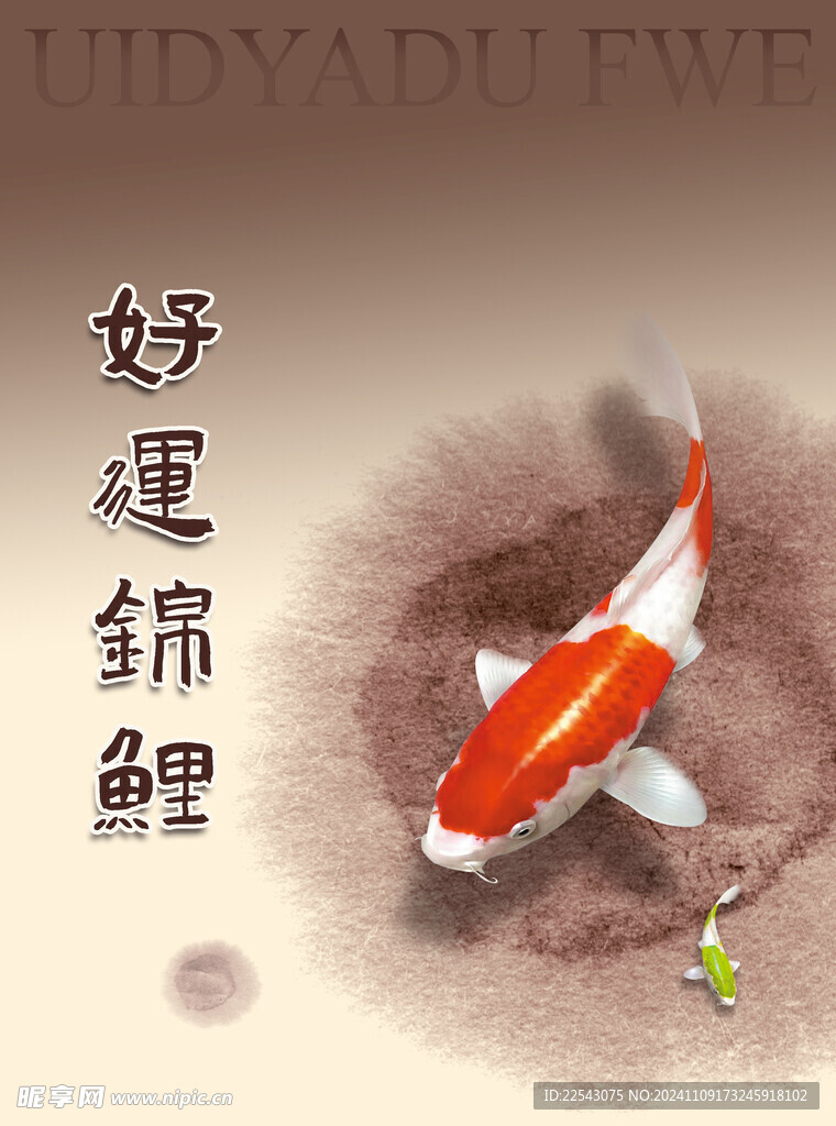  锦鲤 