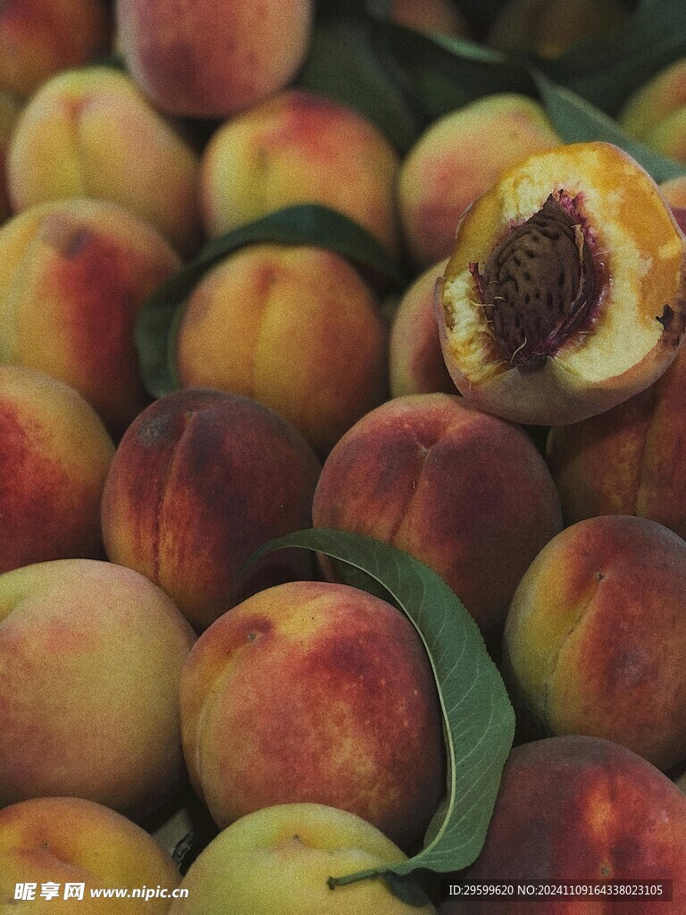桃子  