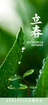 立春节气