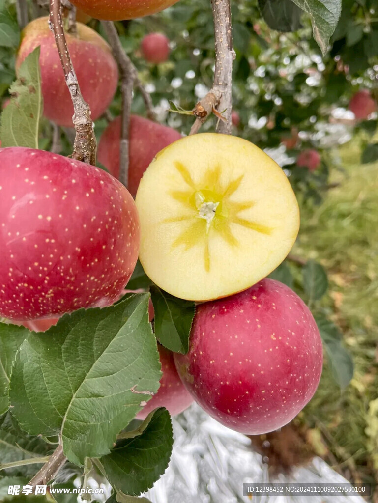 丑苹果