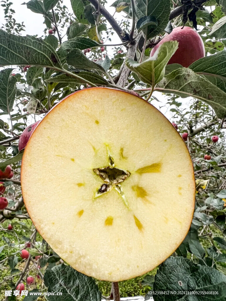 苹果