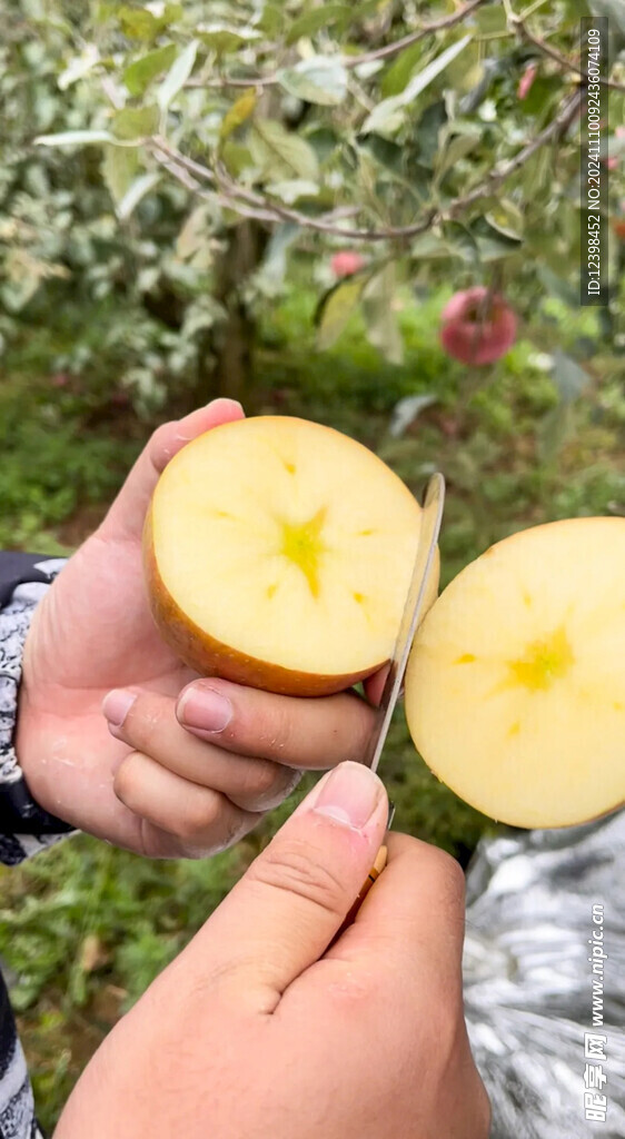 苹果