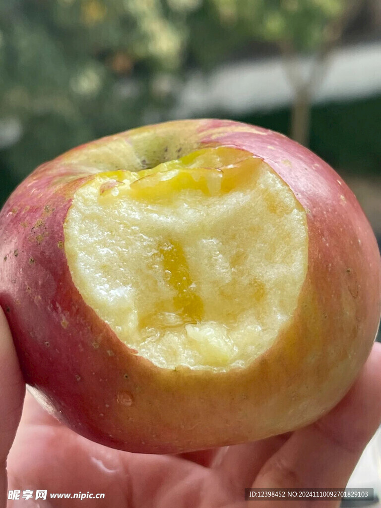 苹果