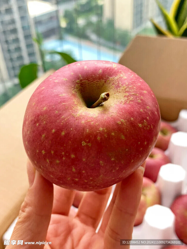 苹果