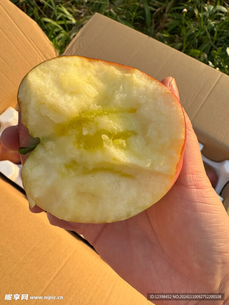 苹果