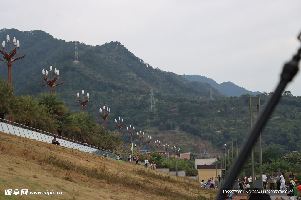 肇庆江滨公园草地景色