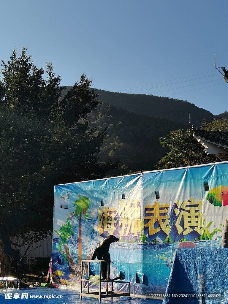 马戏团海狮表演