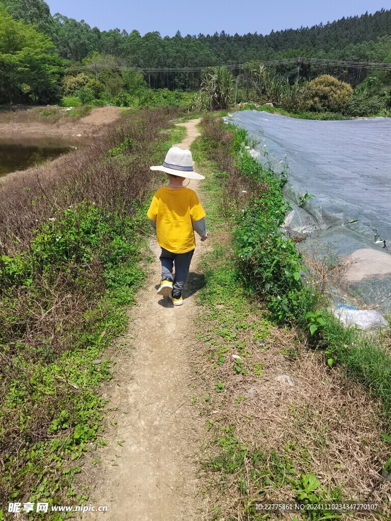 肇庆农村乡间小路