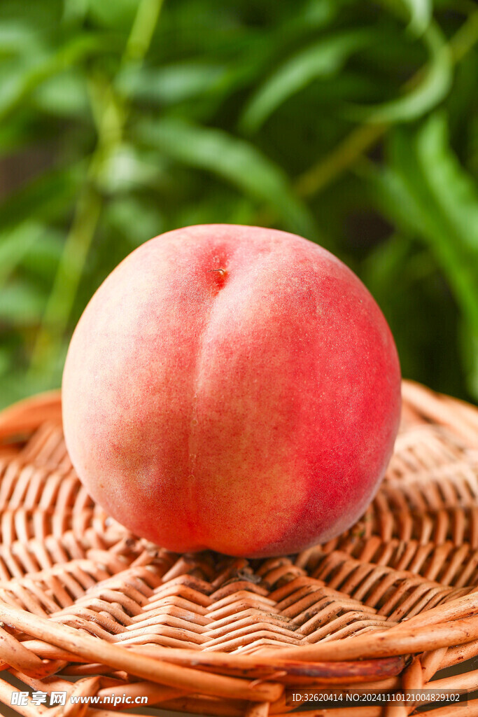 桃子 