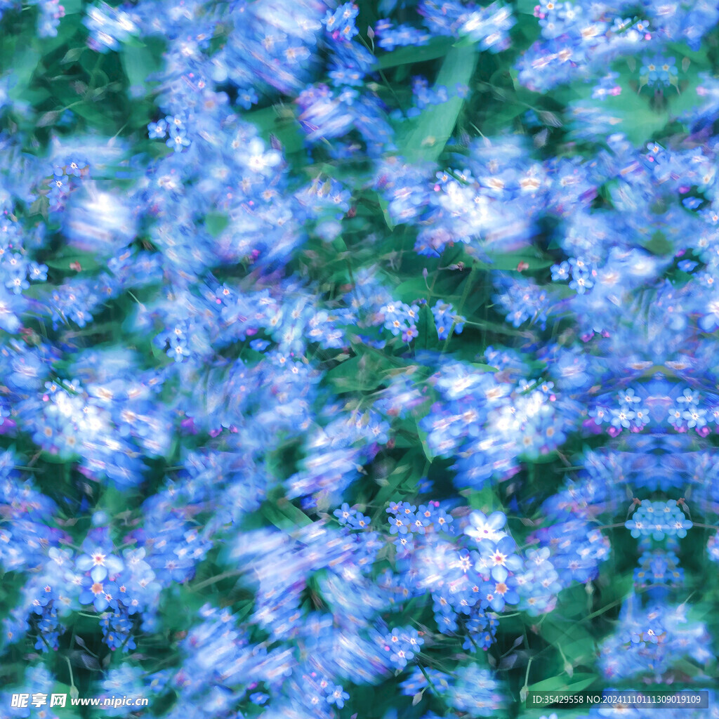 晕染花丛