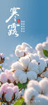 寒露