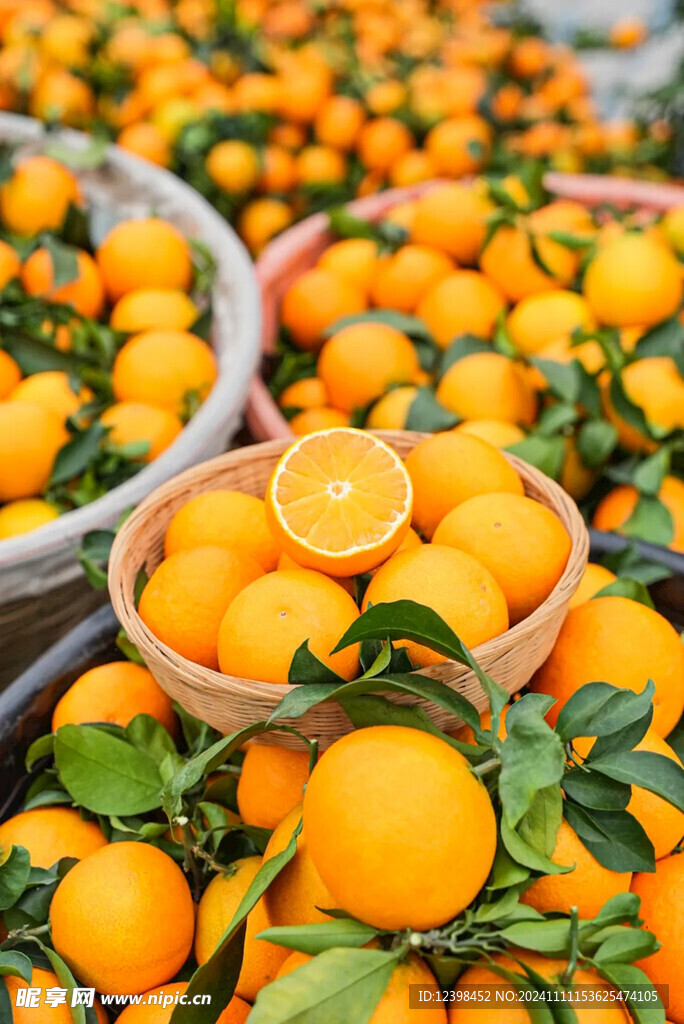 橙子