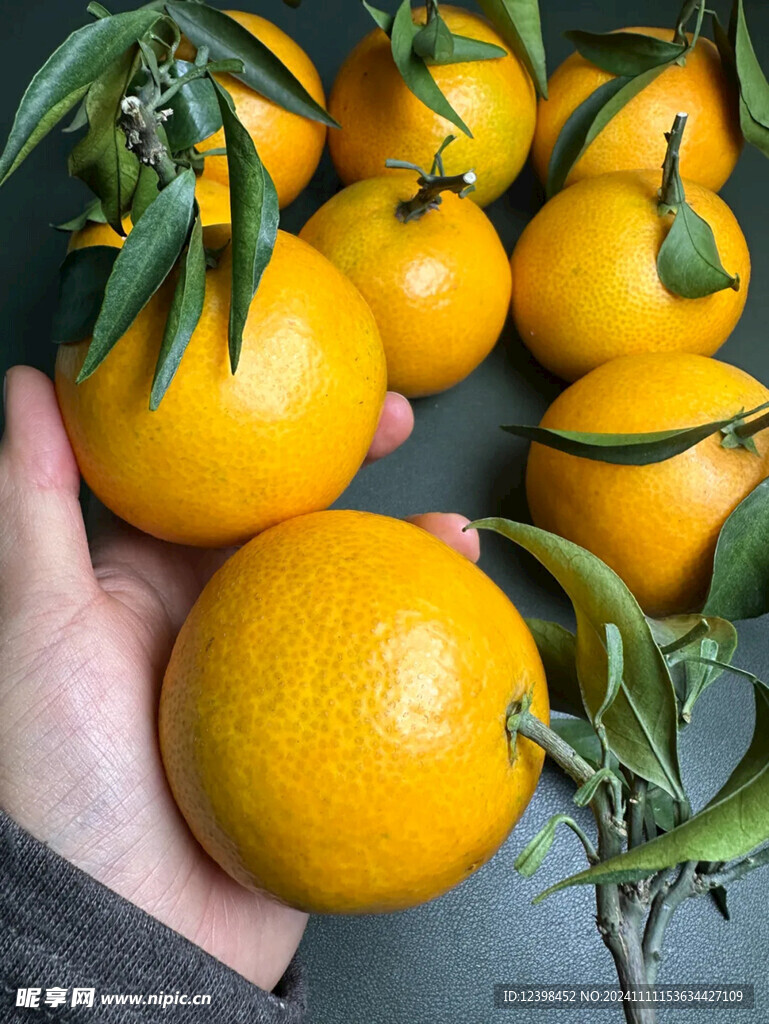 橙子