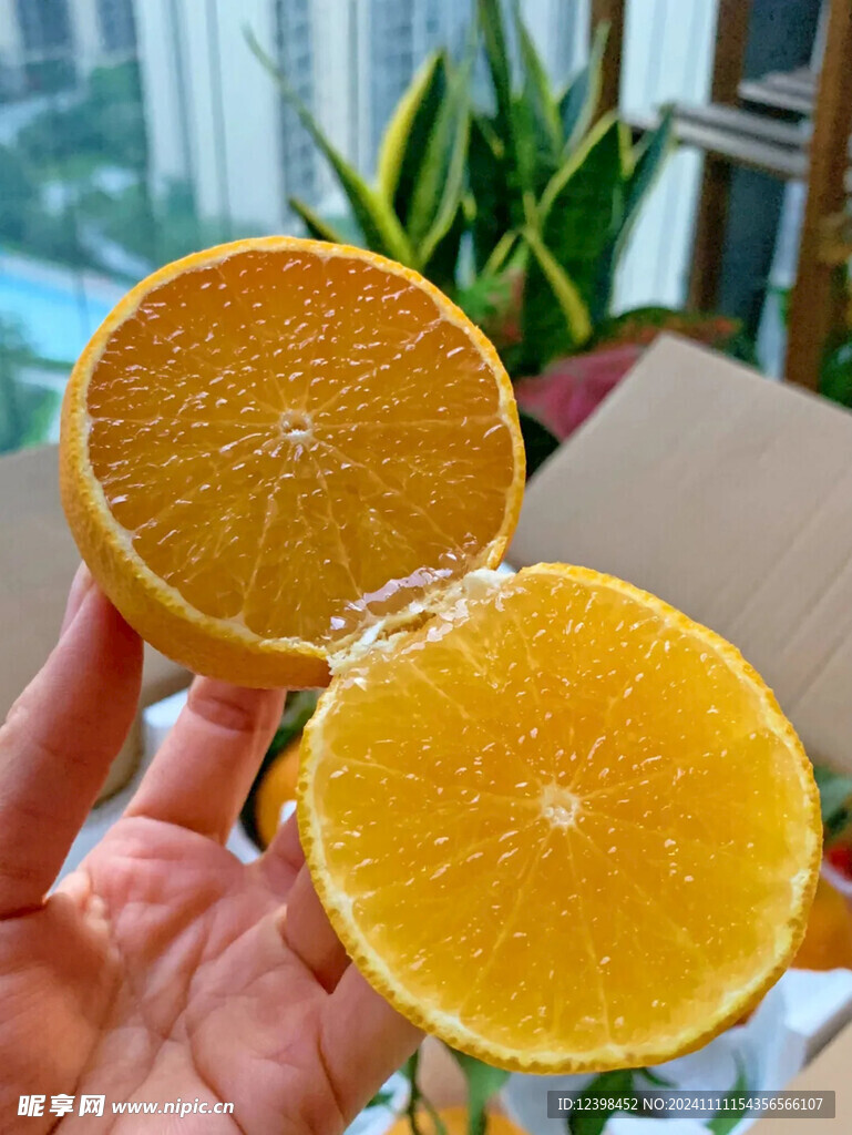 橙子