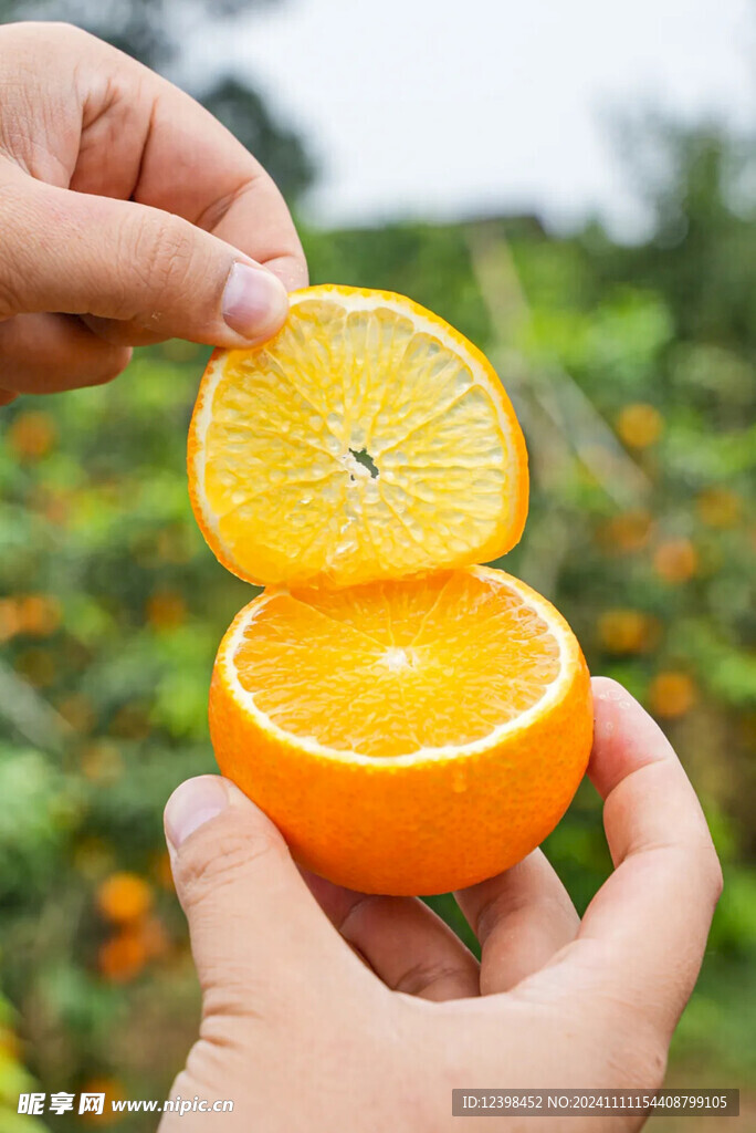 橙子
