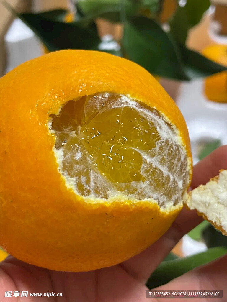 橙子