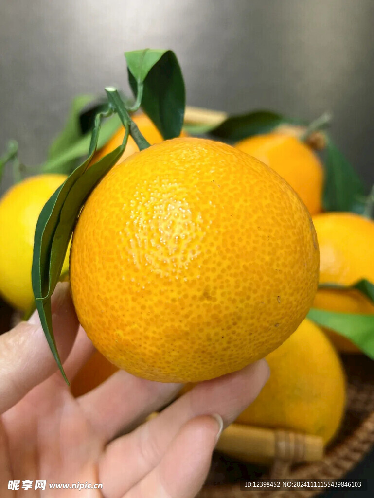 橙子