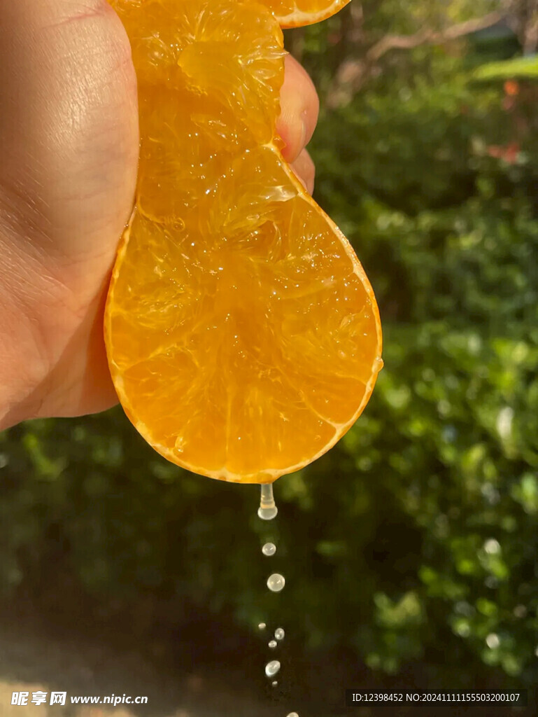 橙子