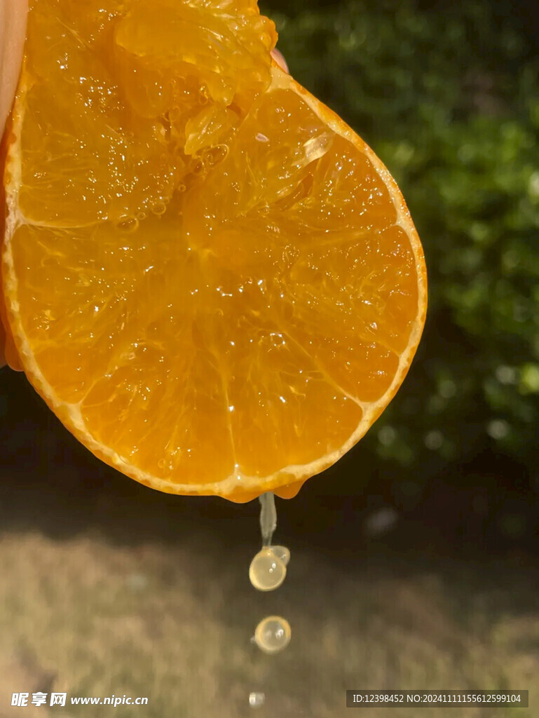 橙子