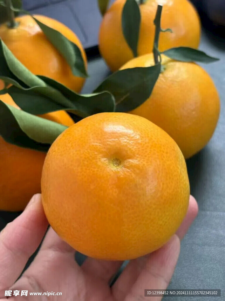 橙子
