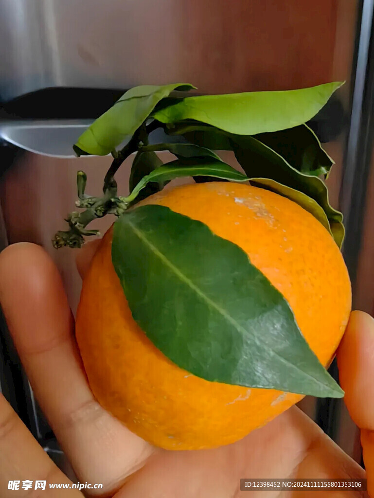 橙子