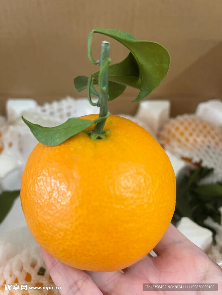 橙子