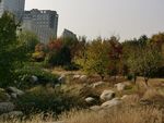 莲花池风景 