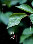 雨水节海报展板素材