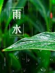 雨水节海报展板素材