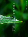 雨水节海报展板素材