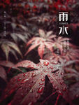 雨水节海报展板素材